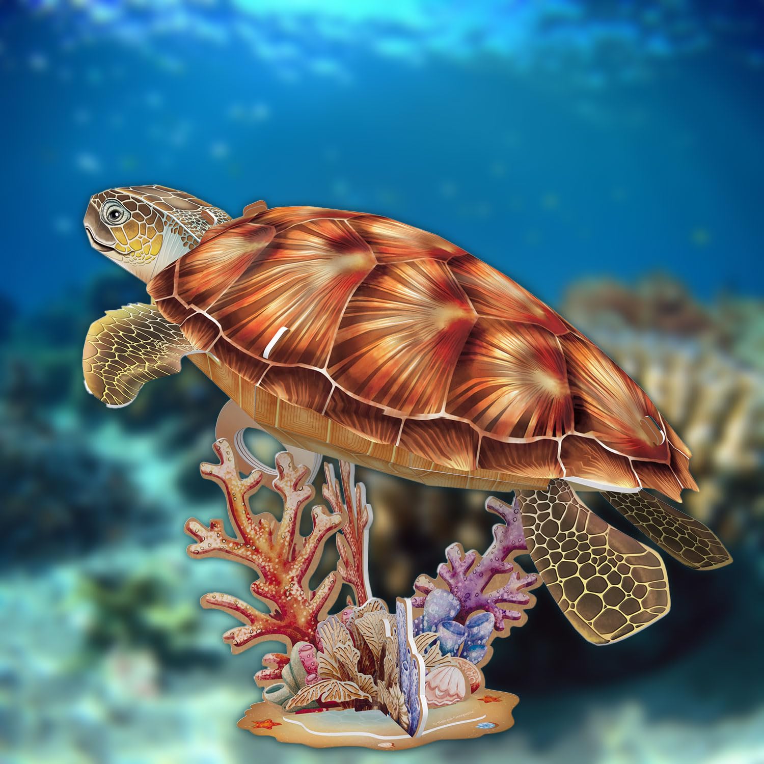 National Geographic - Tortuga Marina | Puzzle 3D | Maquetas para Montar | Regalo Niño 8 Años | Regalo Niña 8 Años | Manualidades Adultos | Puzzle Infantil | 31 Piezas