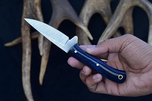 Miniatura 3 de Knives Ranch Cuchillo EDC de hoja fija de 7 pulgadas, cuchillo de caza, acero de damasco, espiga completa, mango de hueso, funda de cuero de