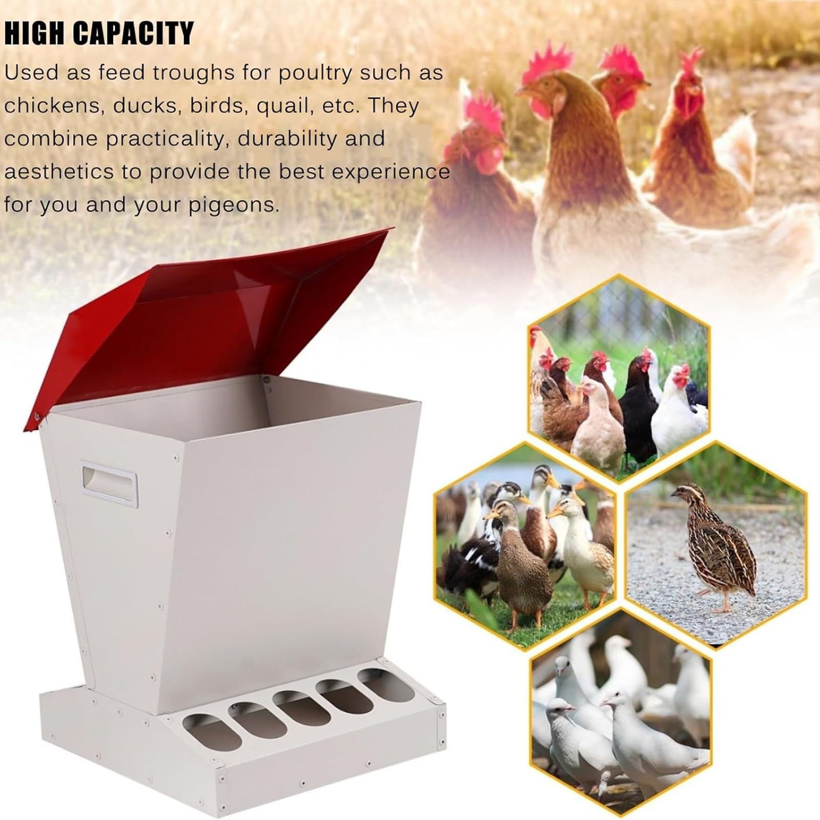 Comedero Automático para Pollos 11kg,comedero para Aves Corral Al Aire Libre con 10orificios Y Tapa Acero Inoxidable,alimentación Conveniente a Pedido Y Sin Desperdiciar,para Gallos, Faisanes