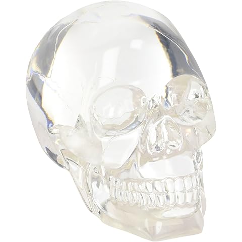 Clear Translucent Skull Collectible Figurine