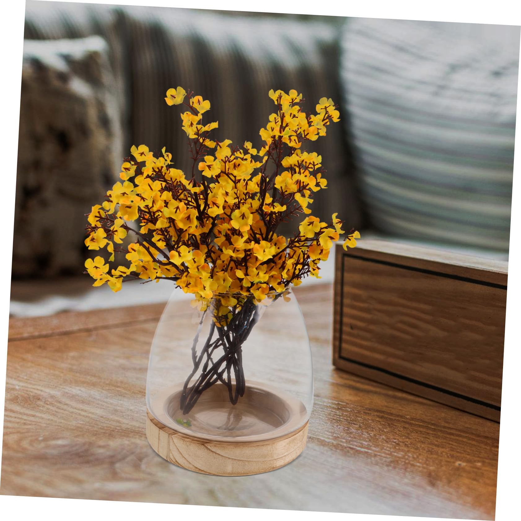Vase Hydroponique Verre avec Base Propagation Eau Facile Décor de Table Élégant pour Plante Intérieur et Aquarium Miniature