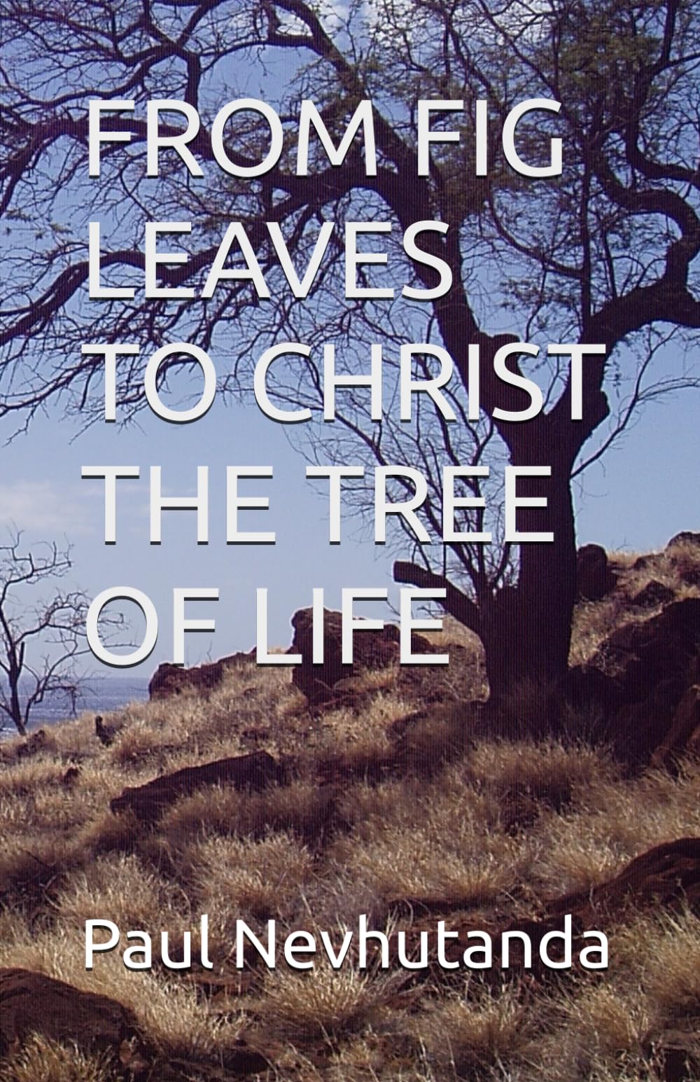 FROM FIG LEAVES TO CHRIST THE TREE OF LIFE