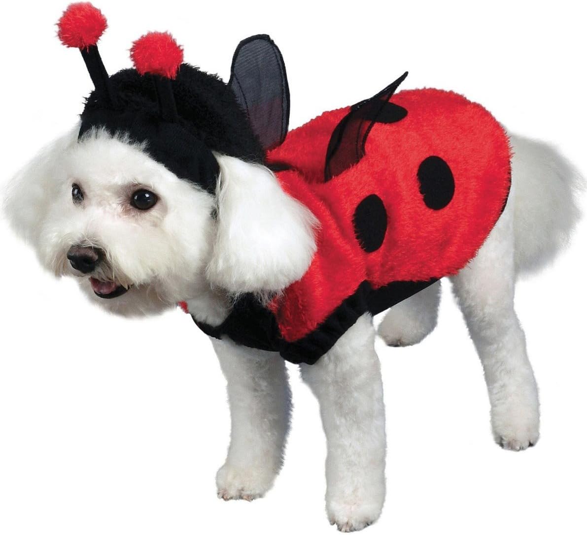 Amazon Lovely Ladybug Dog Costume 可愛いてんとう虫の犬用コスチューム ハロウィン サイズ Small Seasons Hk Ltd コスチューム 通販
