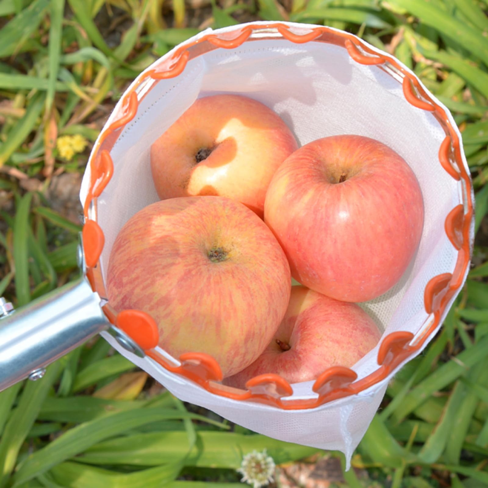 Obstpflücker Diameter 15cm Apfelpflücker mit Teleskopstiel aus Edelstahl und Baumwollbeutel Kirschenpflücker Pflaumenpflücker Obstsammler für Kirschen Reaching Inaccessible Places in Fruit Trees