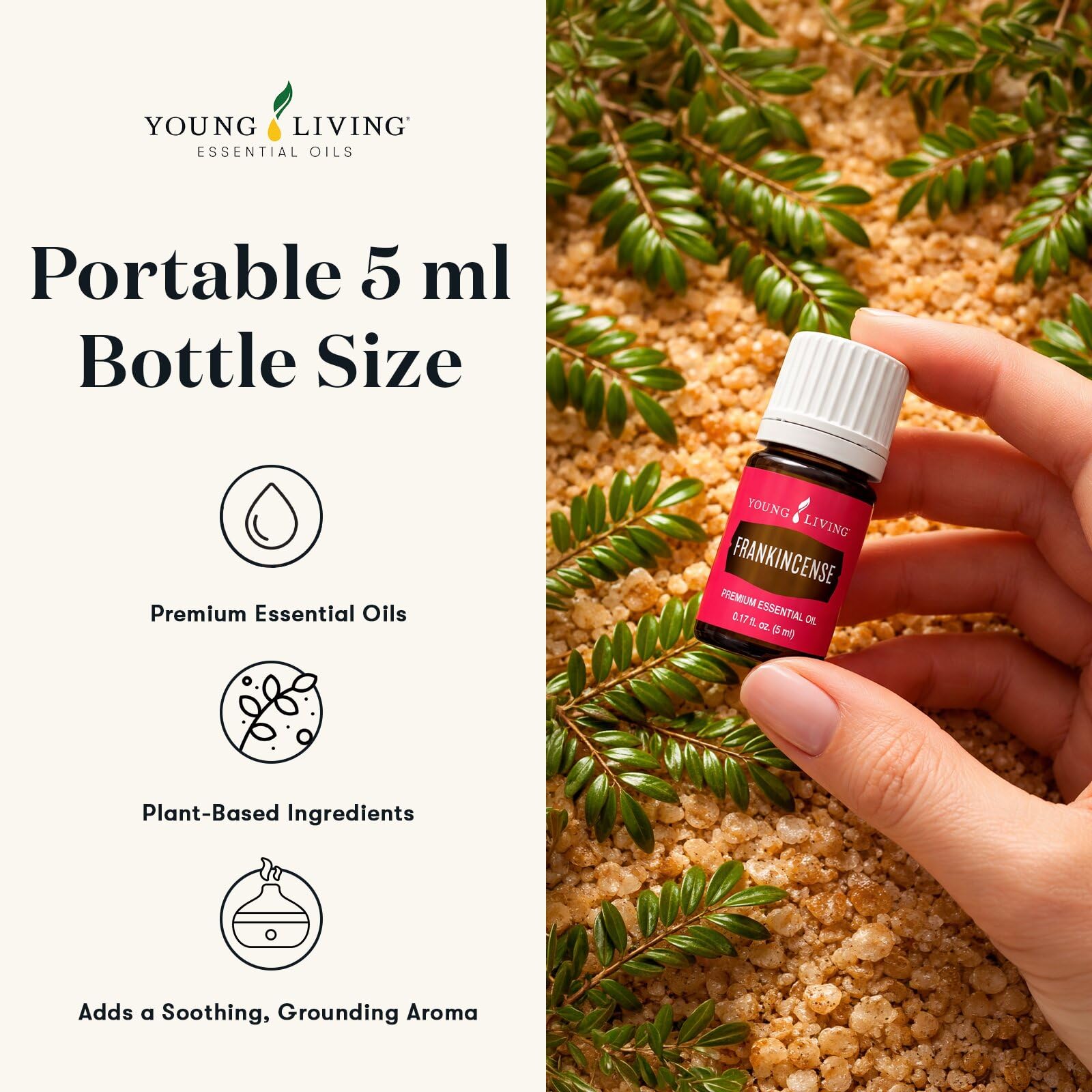 Amazon.com: Young Living Frankincense Essential Oil | 5 ml | Seed