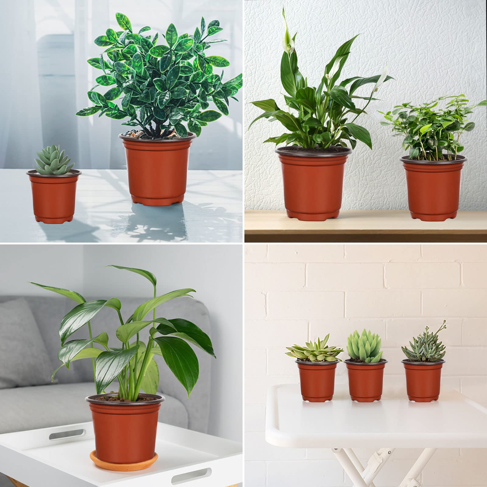 Augshy Doniczka do przedszkola, 75 szt. 10 cm, 15 cm, 15 cm, plastikowe doniczki początkowe do przesadzania sadzonek sukulentów, czerwona