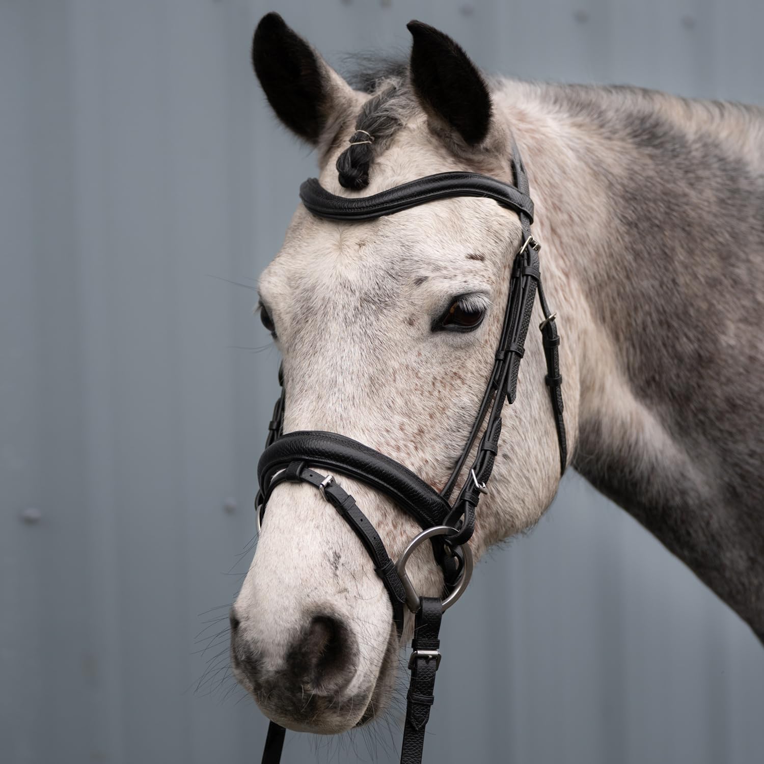 CHALLENGER Horse Western Floral Tooled Browband Bridle & Breast Collar Tack Set 78HR43B