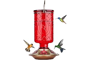 BOLITE Hummingbird Feeder, Glass Hummingbird Feeders for Outdoors