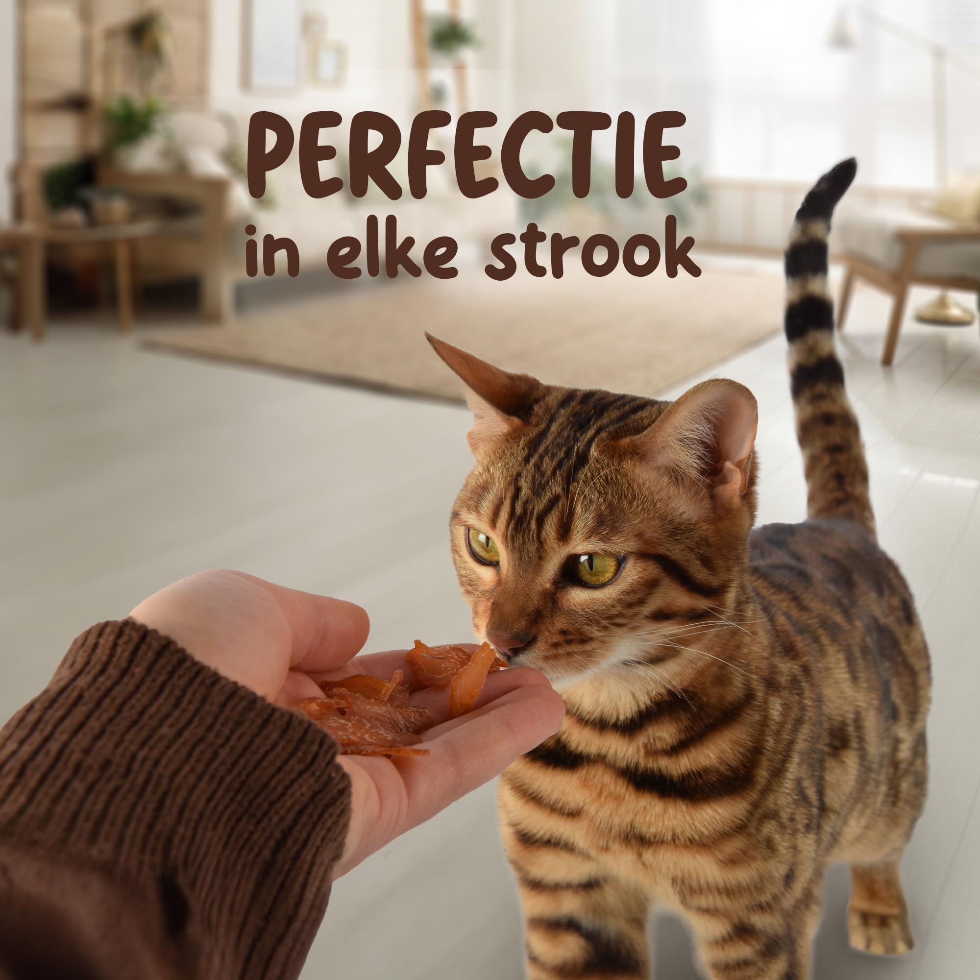 Mega Offre avec 9 Sacs de Snacks pour Chat Au Poulet | Sans Céréales Sans Sucre Ajouté | 85G Par Sac | Friandise Idéale Pour Chats Riches En Protéines, Délicieuses Et Saines Avec Ingrédients