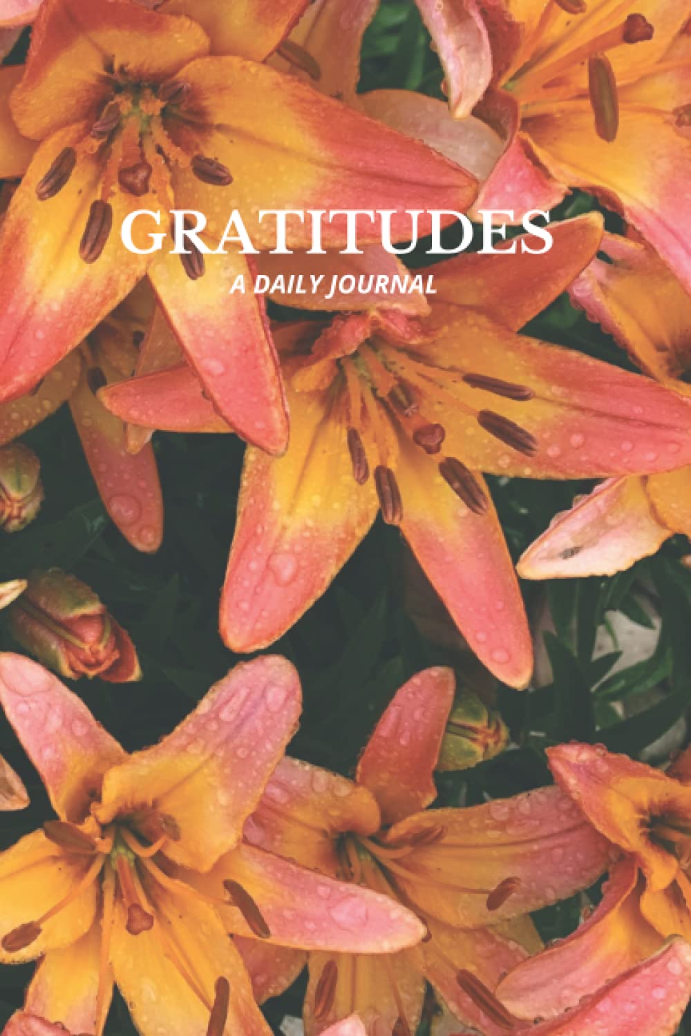 Gratitudes: A daily journal