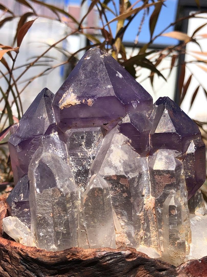 Amazon.co.jp: 超レア 690g極上 城 紫鰐水晶 骸骨水晶 エレスチャル