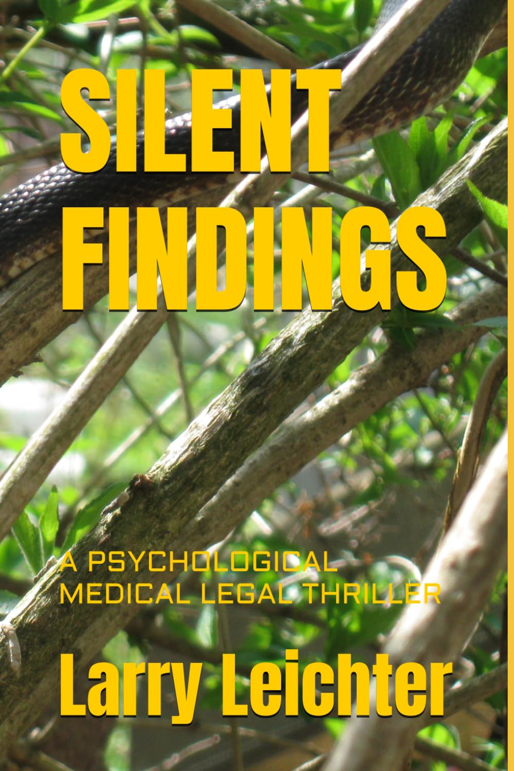 SILENT FINDINGS: A PSYCHOLOGICAL MEDICAL LEGAL THRILLER