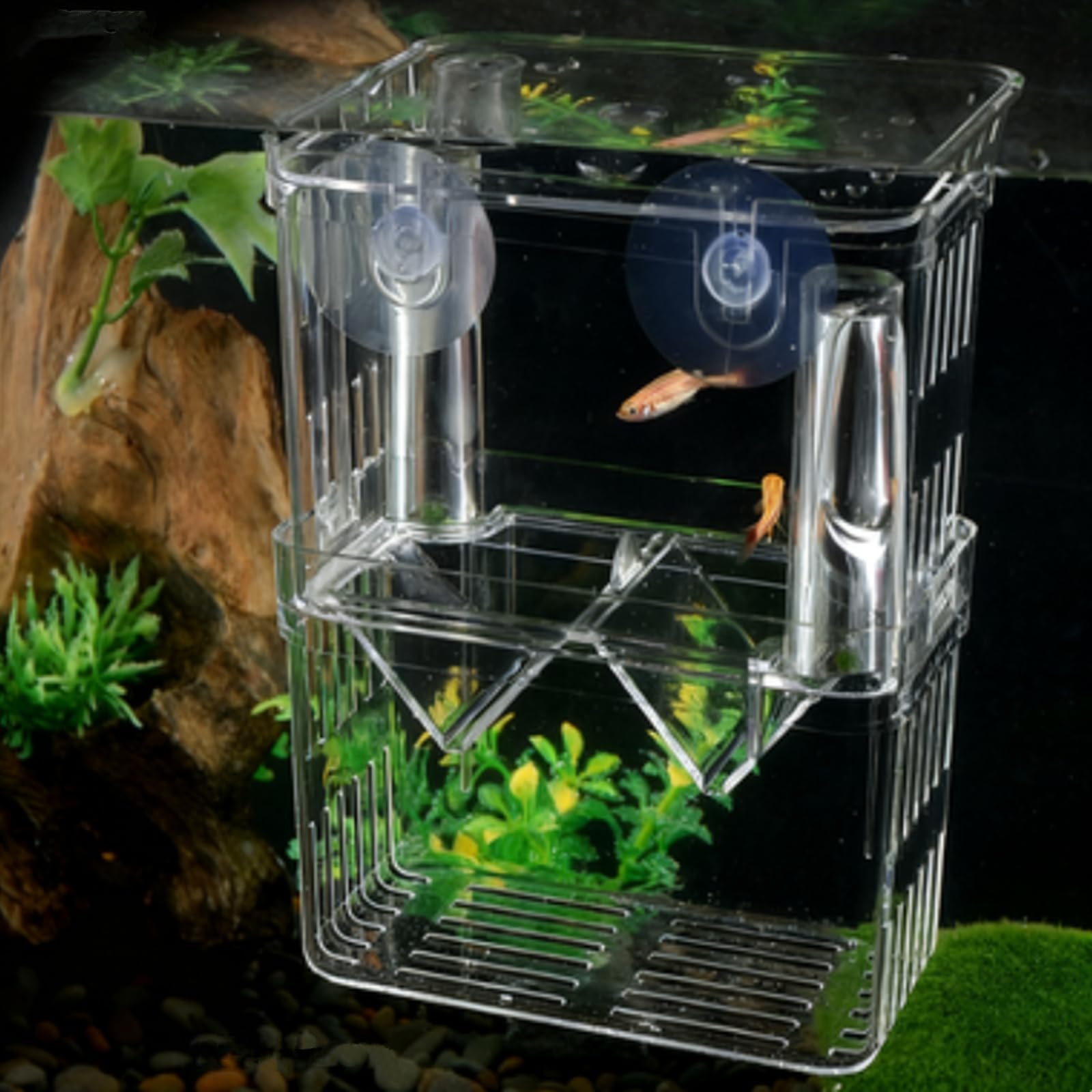 LIKENNY Breeding Isolation Box Fish Spawn Isolation Case, 4.3 x 3.1 x 2.8 inches (11 x 8 x 7 cm), Clear, For Aquariums, Spawn Eggs, Hatching, Protection, Observation, Fish Breeding Box, Fish