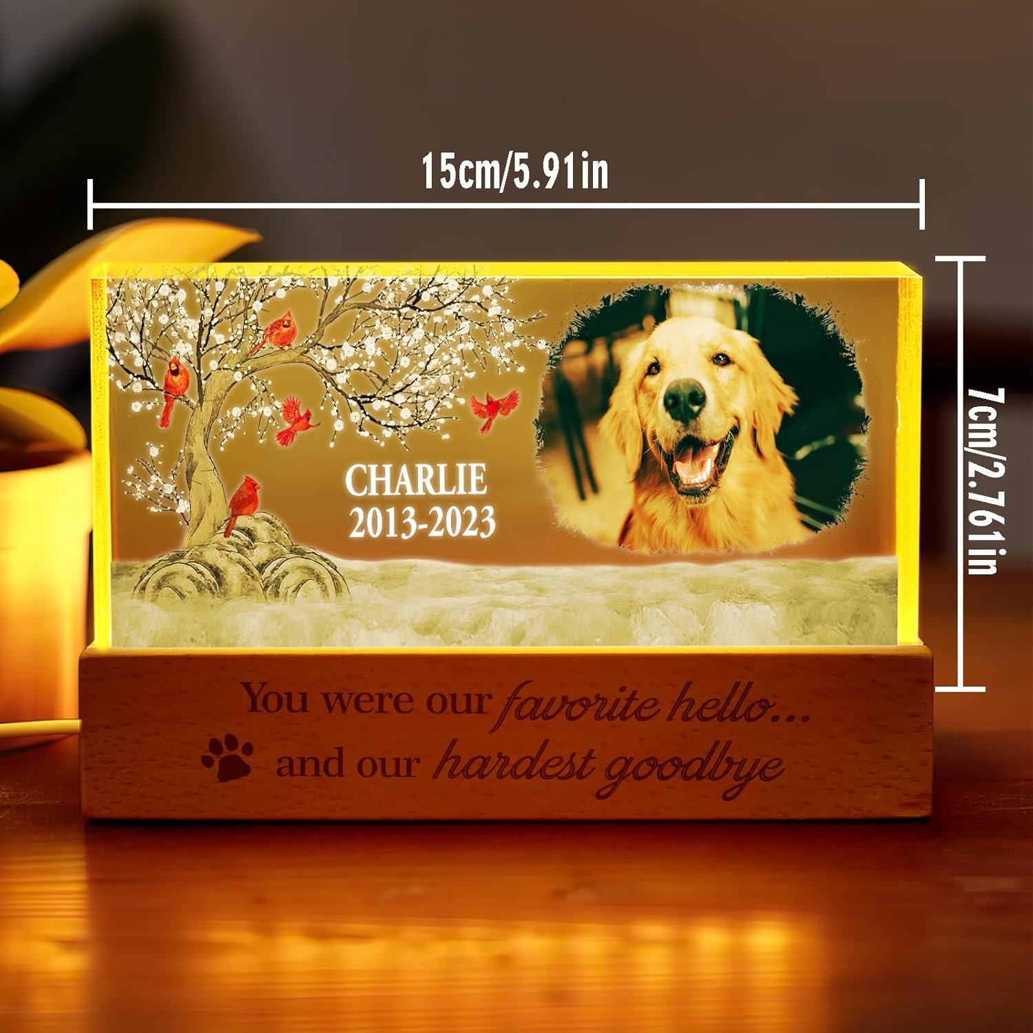 VEELU Custom LED Night Light Personalized Photo Lamp with Date Text 2cm Thick Acrylic Plaque Romantic Gift for Girlfriend, Partner, Loved Ones Unique Memorial Condolence Gift (Remember Beloved Pet)