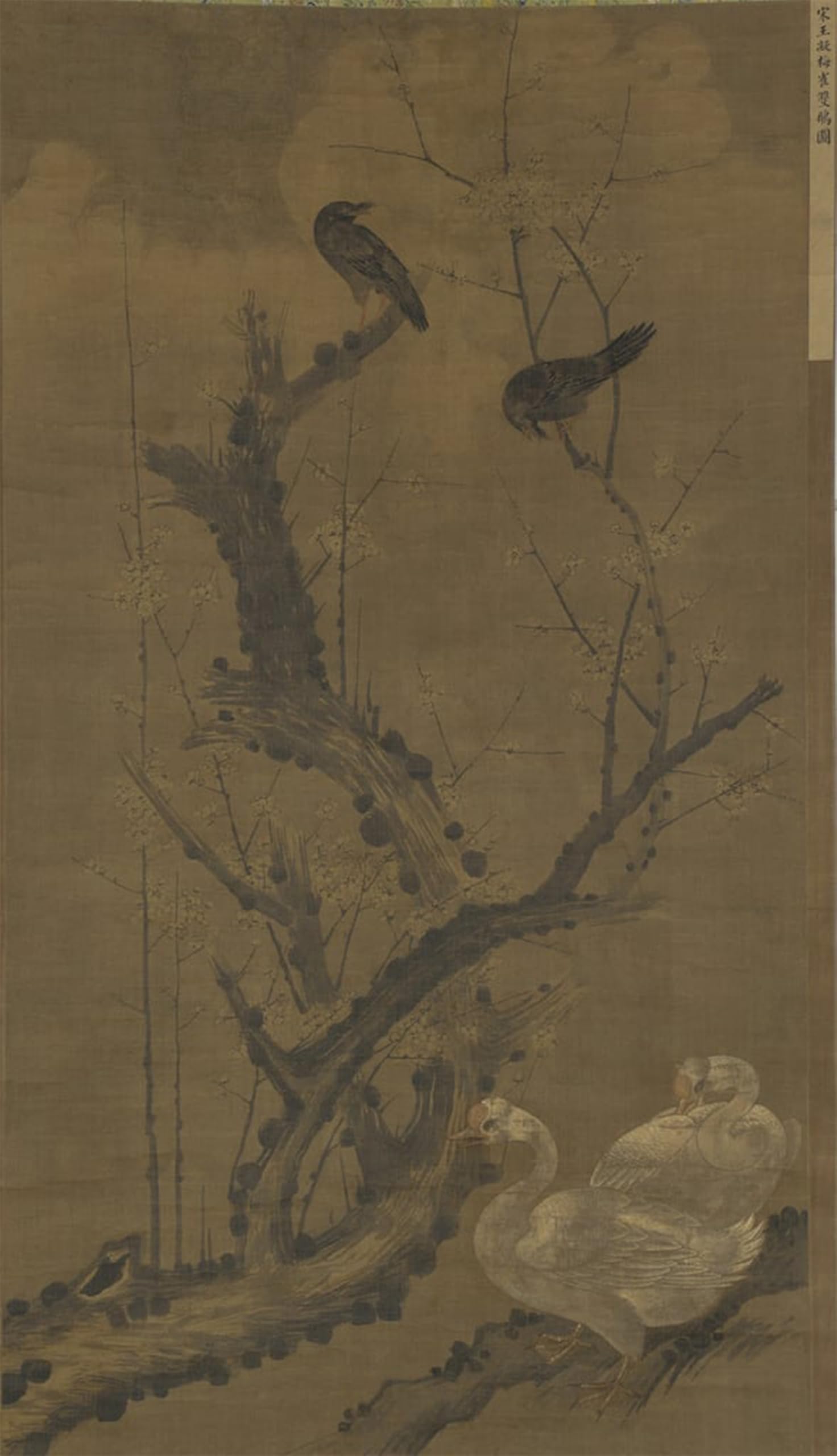 POSTERIIk Vintage Art Print Images Pictures Print Mynahs Geese and Flowering Plum by Ming Dynasty Chinese School Modern Colour Posters for Office Home Decor 60x90cm