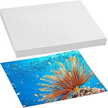 Amazon | 写真用紙 100枚 8インチ x 10インチ プレミアム光沢写真用紙