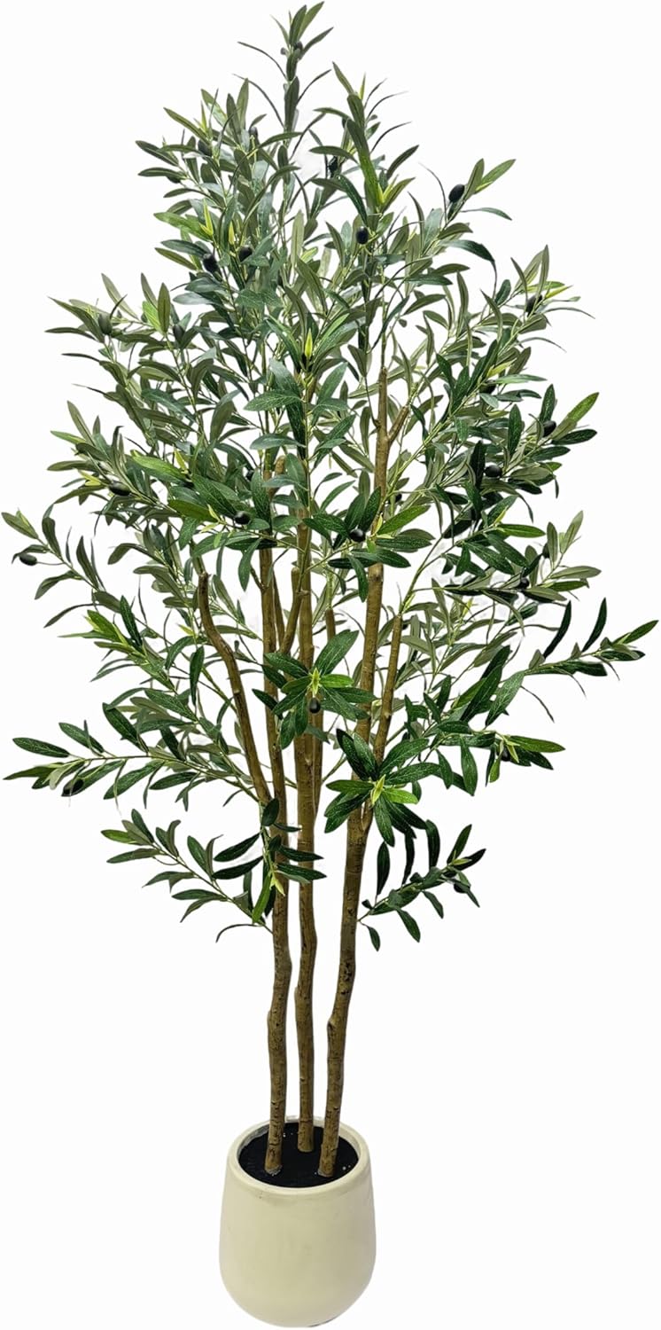 Large Faux Indoor Olive Tree, 6FT Tall Artificial Olive Plants with White Pot & Multiple Textured Sturdy Trunks, Indoor-Outdoor Faux Silk Plants for Home Office Entryway Decoration