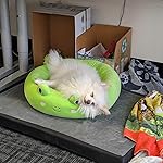 Review Image by Stephanie T. Stephanie T.