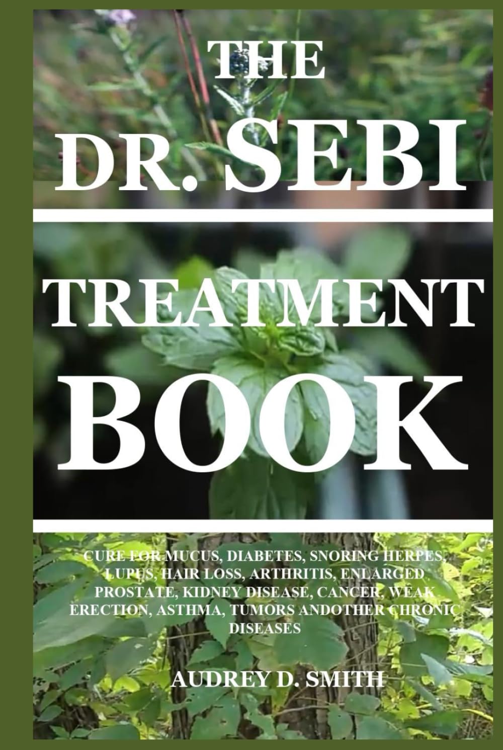 THE DR. SEBI TREATMENT BOOK: CURE FOR MUCUS, DIABETES, SNORING HERPES, LUPUS, HAIR LOSS, ARTHRITIS, ENLARGED PROSTATE, KIDNEY DISEASE, CANCER, WEAK ERECTION, ASTHMA, TUMORS ANDOTHER CHRONIC DISEASES