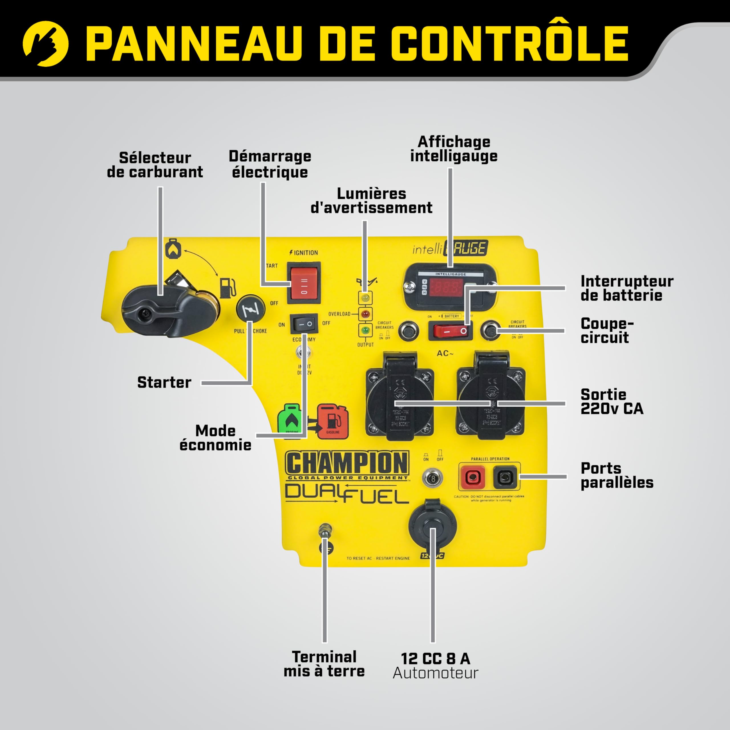 Champion Power Equipment 73001i-DF-EU Groupe électrogène mobile essence + gaz (3100 W, inverseur portable, extrêmement silencieux, avec poignée intégrée et jeu de roues, idéal pour l'extérieur +