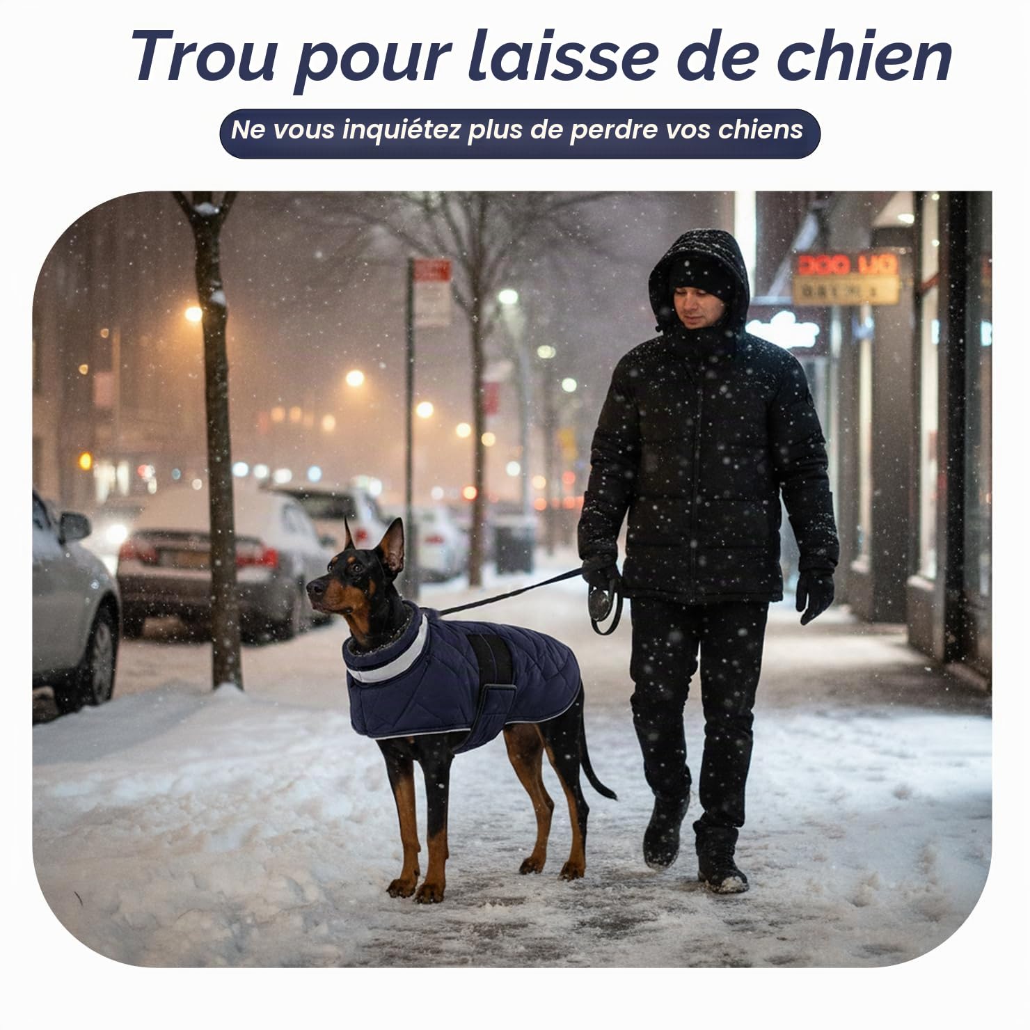 ASENKU Manteau Chien Hiver M pour Chien Moyen, Veste Imperméable Coupe-Vent Réfléchissante, Doublure Polaire Chaude, Taille Ajustable, Ouverture Collier – pour Beagle, Teckel, Cavalier King Charles