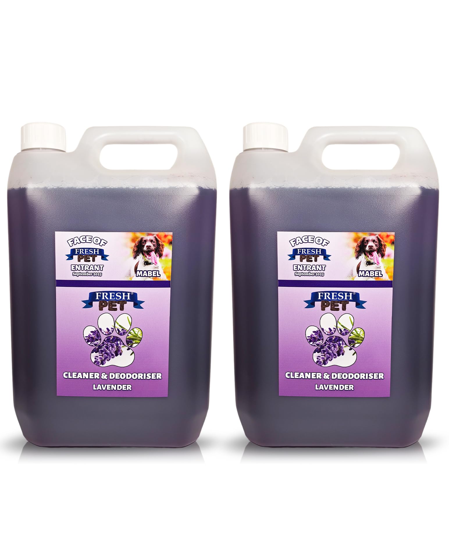 FRESH PET URINE SMELL ODOUR REMOVER 2 x 5L - TRADE Chem (LAVENDER)
