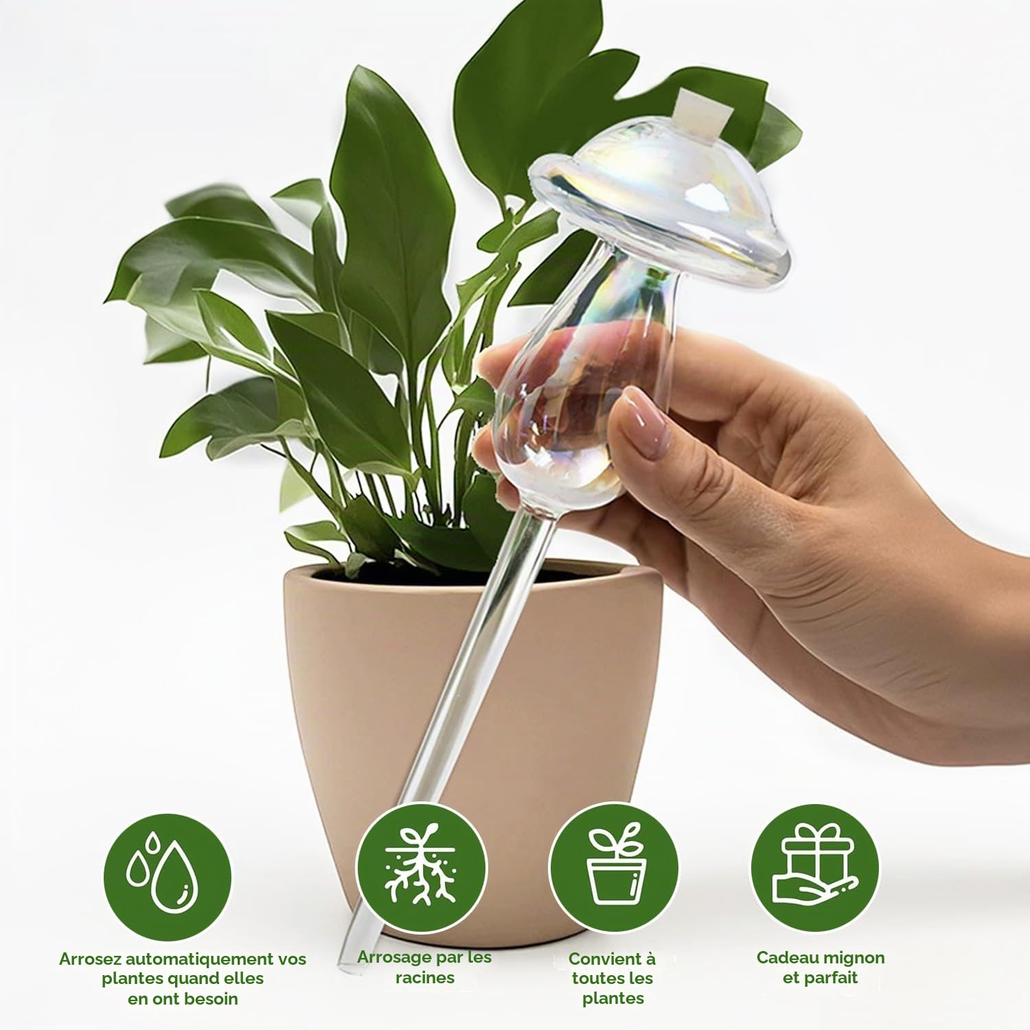 4 Pièces Boules d'Irrigation pour Plantes, Champignon Boules d'Irrigation pour Plantes,Bulbes d’Arrosage Automatique Dispositif D'irrigation, Boules d'arrosage pour Plantes d'intérieur et d'extérieur
