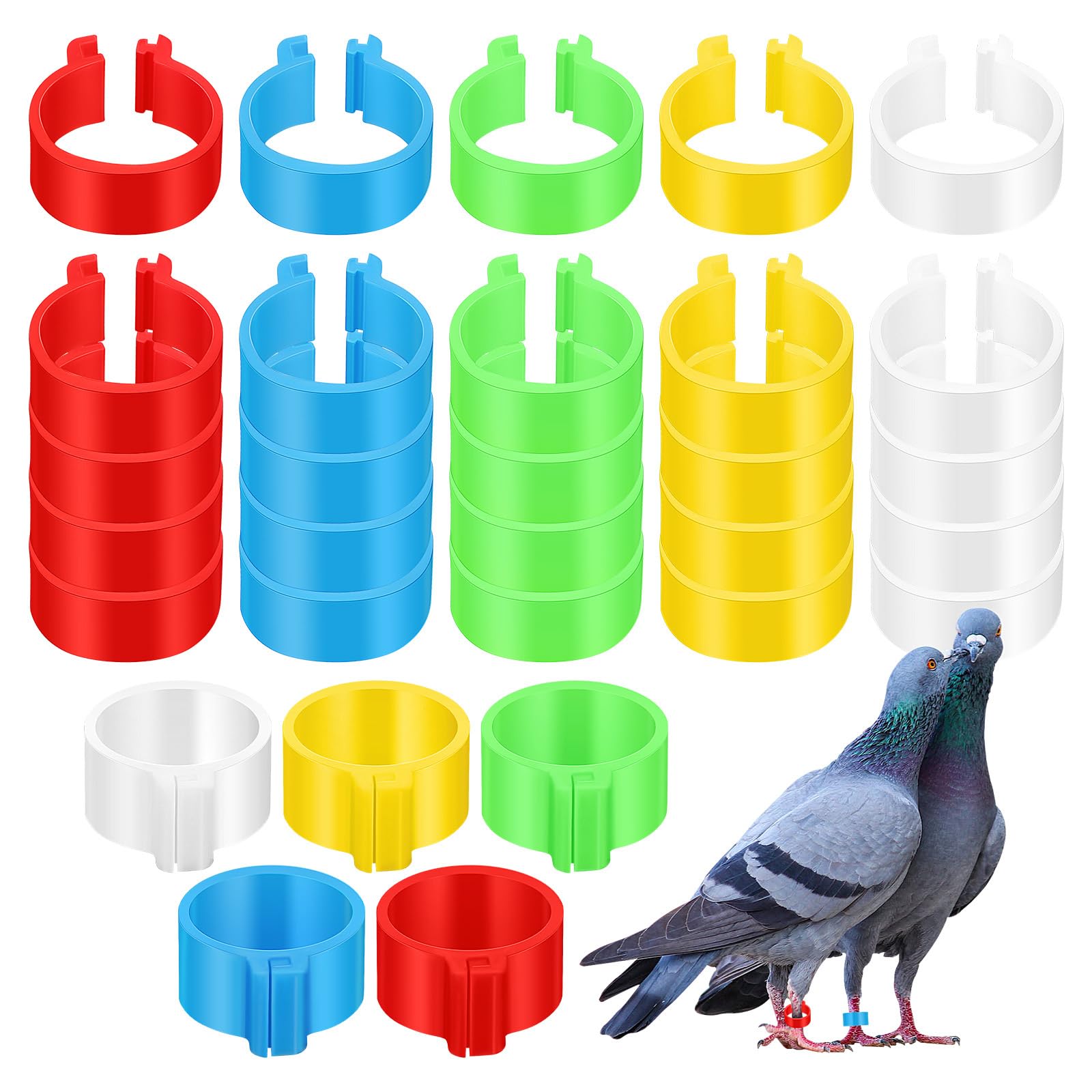 BESPORTBLE Chicken Leg Rings 30Pcs 0.63 Inch Clip-on Poultry Identification Bands for Chickens Ducks Geese Pigeons Multi-Colour Leg Bands for Efficient Flock Management