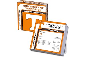 Bengals Calendar 2024