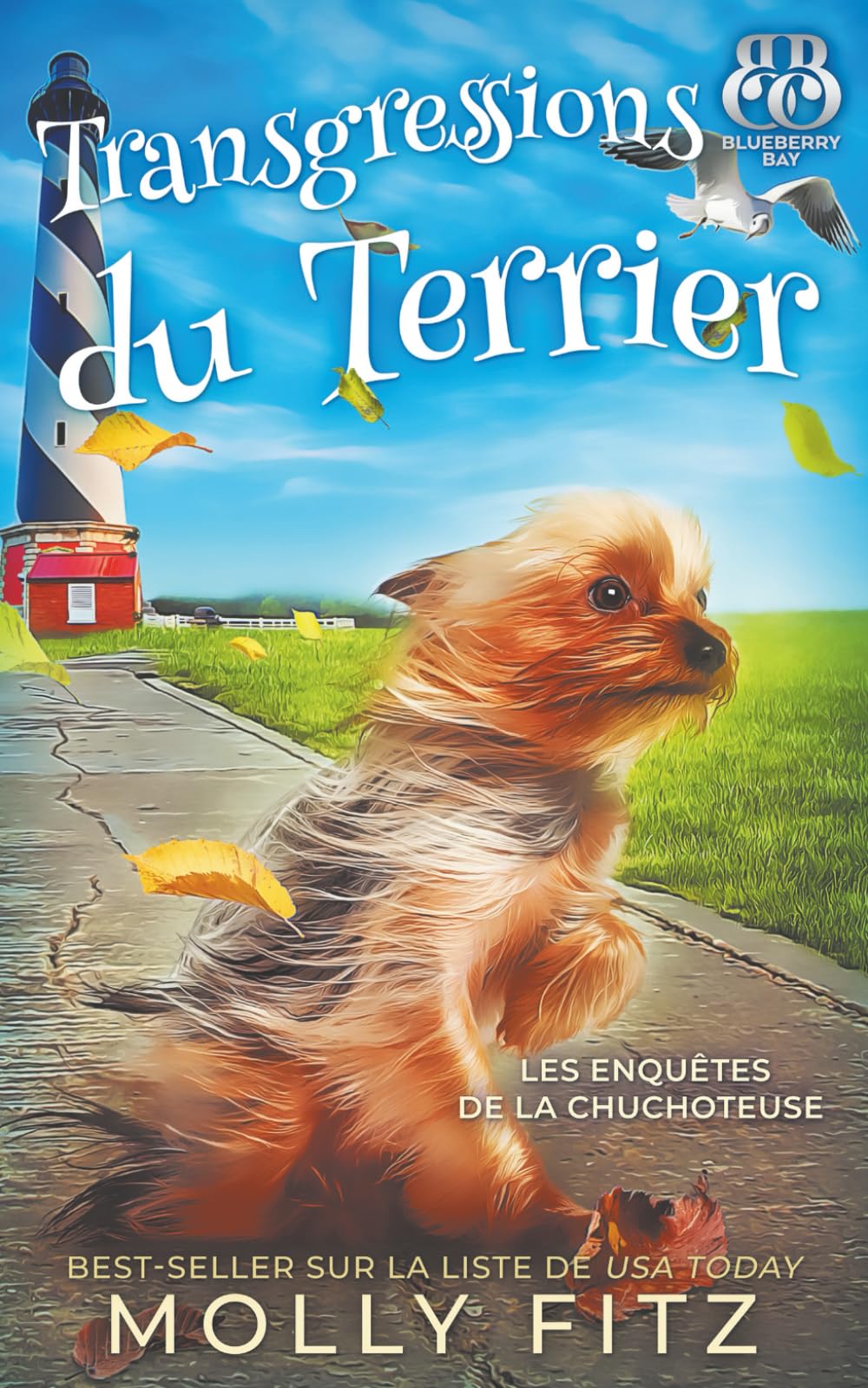 Transgressions du Terrier (Les Enquêtes de la Chuchoteuse)