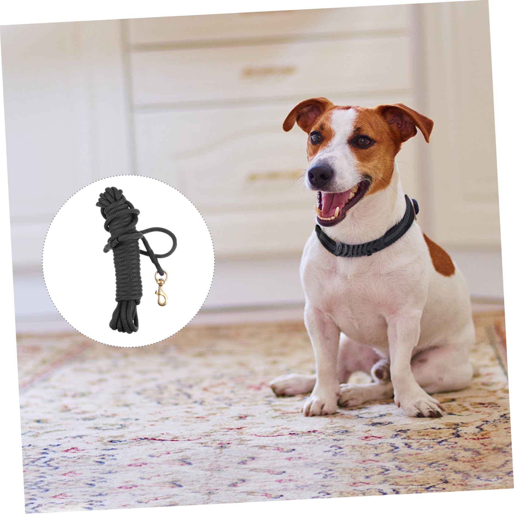 ibasenice Laisse pour Chien Longue de Adaptée pour Grands Chiens pour Promenades et Dressage Extérieur