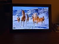 Review Image by cowboy11 cowboy11