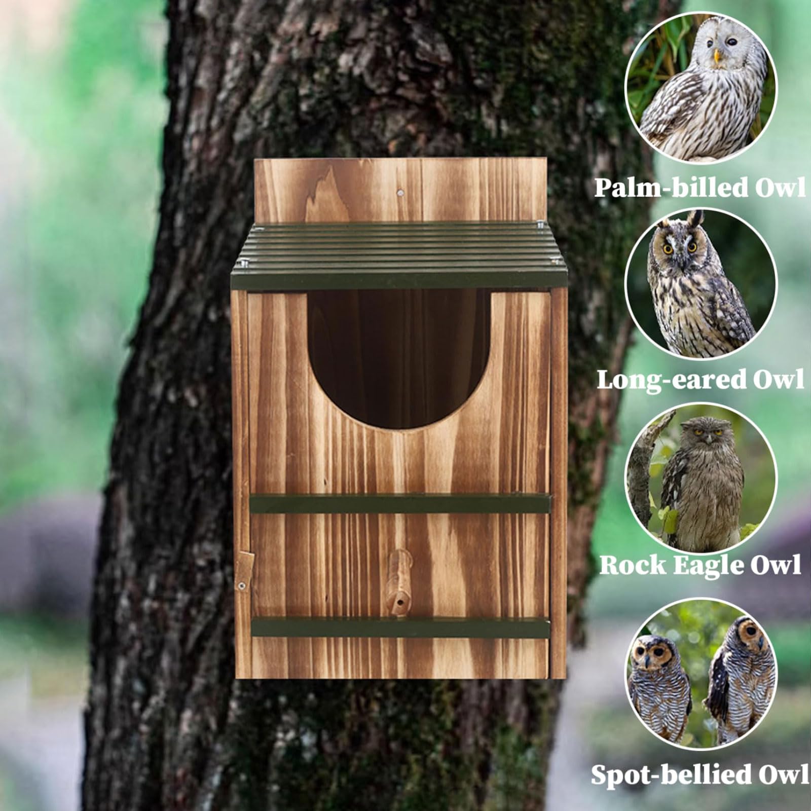 Vogelhaus aus Holz, Eulenhaus mit Stangenhalterung, leicht zu reinigender Nistkasten für Garten, Bluebird Scheuneneule