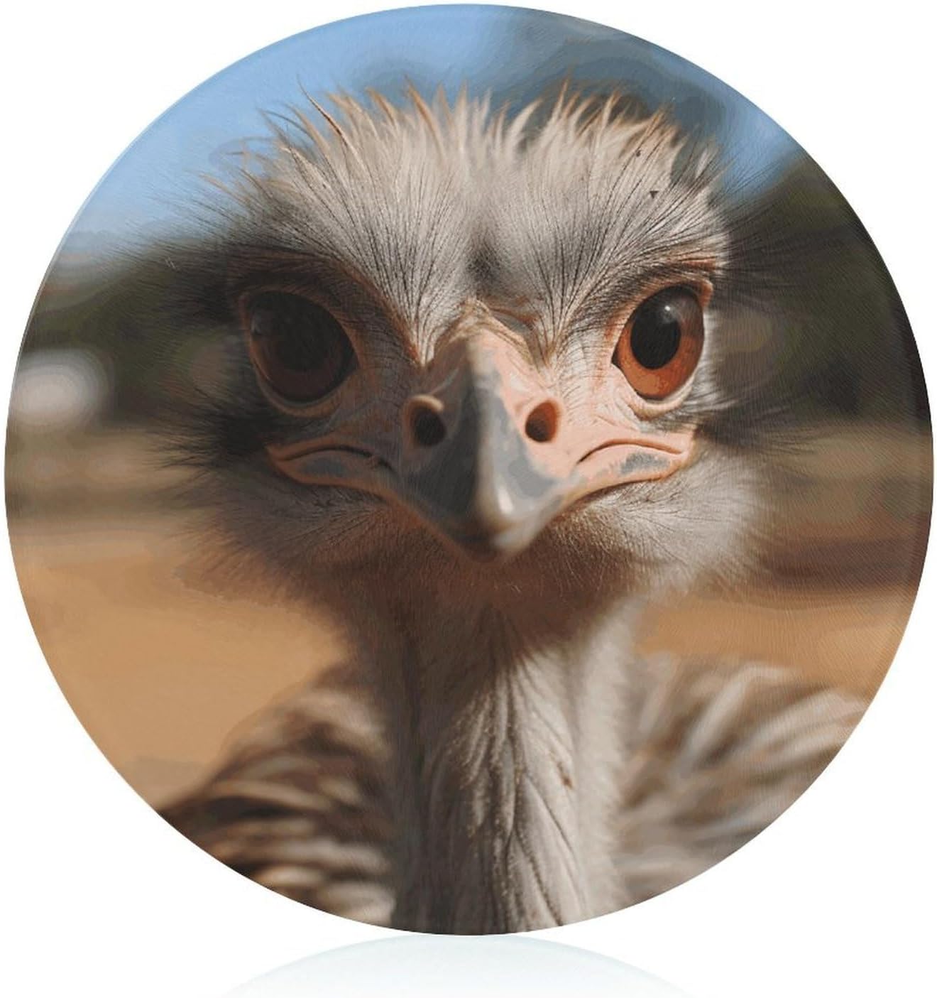 Cute Ostrich Chopping Block Tempered Glass Cutting Board Mats Round Countertop Cutting Boards Small Charcuterie Boards Bar Cheese Board Snack Tray