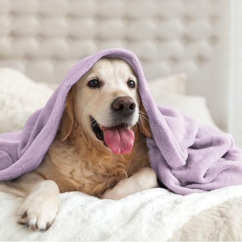 Miniatura 50 de BEDELITE Fleece Blanket White Throw Blanket for Couch & Bed, Luxury Plush Cozy Fuzzy Blanket 50" x 60", Super Soft Warm Lightweight Throw Blanket