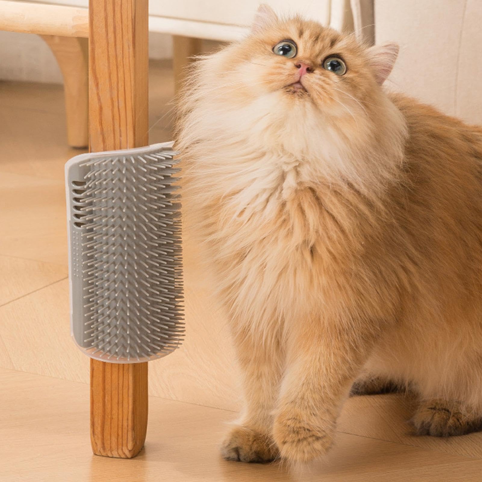 Entfilzungsbürste für Hunde Wandmontiert Selbstreinigend | Katzenbürste mit automatischer Reinigung für kleine mittelgroße und große Hunde sowie Katzenwelpen zu Hause drinnen draußen