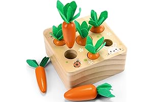 Montessori Toys: Shape Sorting & Matching Puzzle Carrots