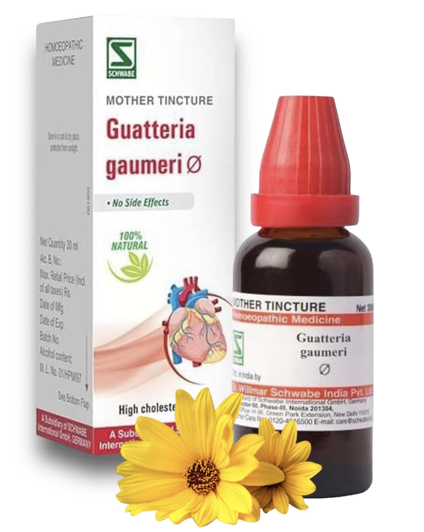 medaq-45 Willmar Schwabe Guatteria Gaumeri Q Mother Tincture - HOMEOPATHIC MEDICINE- 30ml - Set of 1 Bottle (B0DFMZ7QG1) Amazon Price History, Amazon Price Tracker