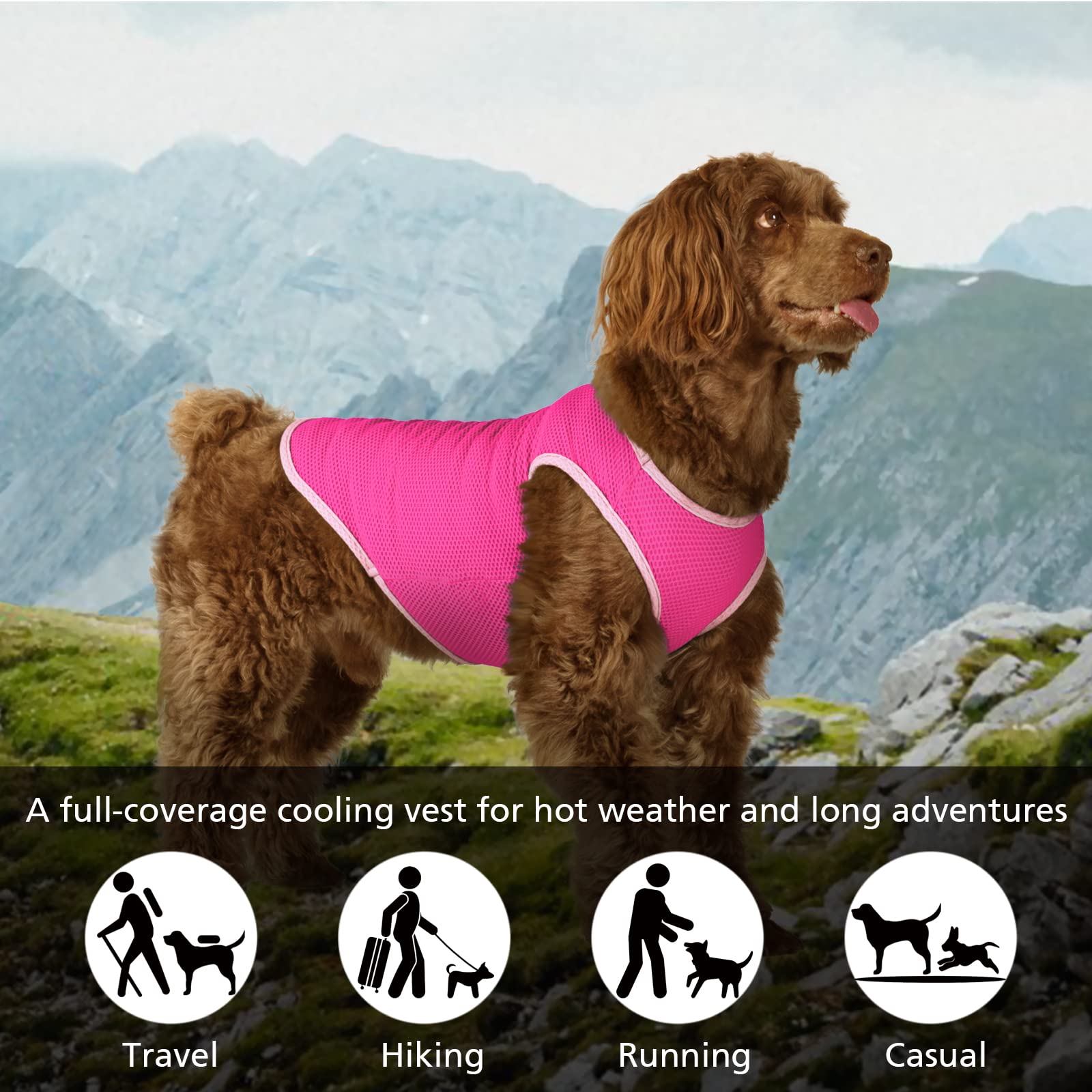 Paquete de 2 camisas de secado rápido para perro, ropa de malla ligera transpirable para perros medianos y niñas, camisas sin mangas con protección solar para perros y gatos, chaleco para