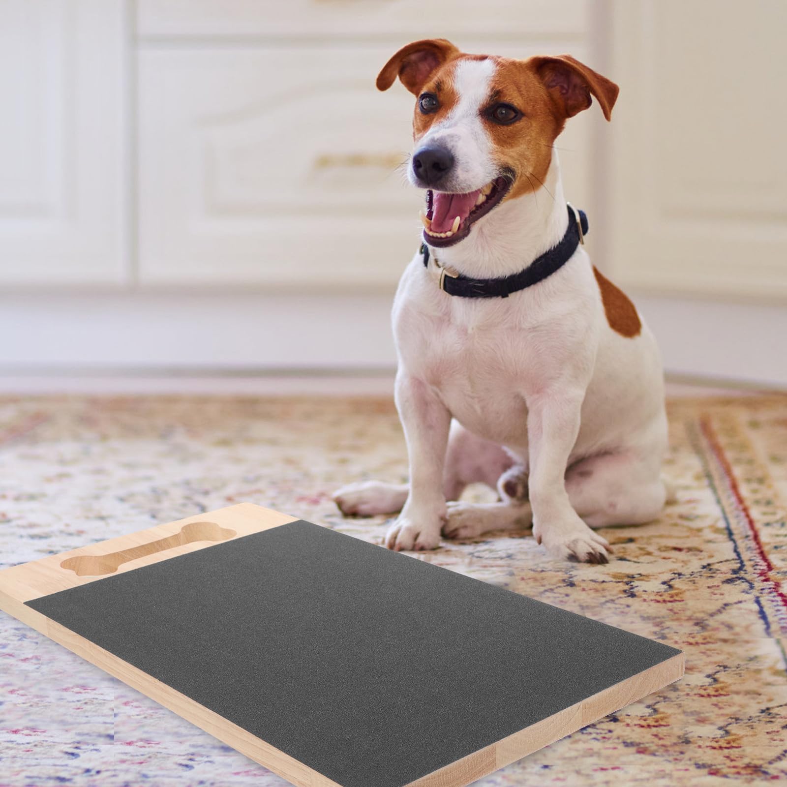 Mikikit Kratzbrett für Hundenägel mit Nagelschleiffunktion und Robustem Design Multifunktionales Haustier Krallenpflegebrett für Welpen und Hunde im Innenbereich