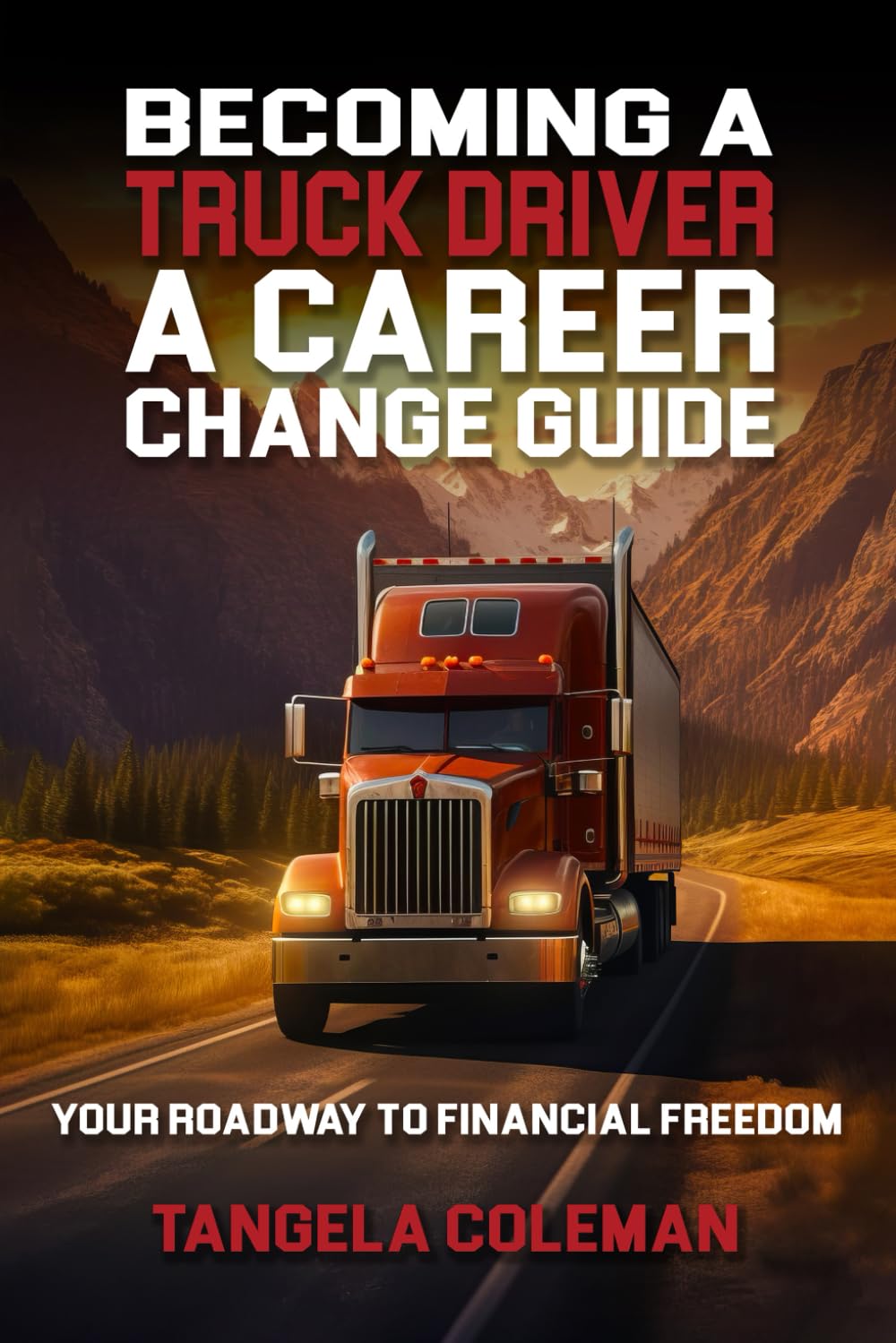 Becoming A Truck Driver: A Career Change Guide: Your Roadway To Financial Freedom