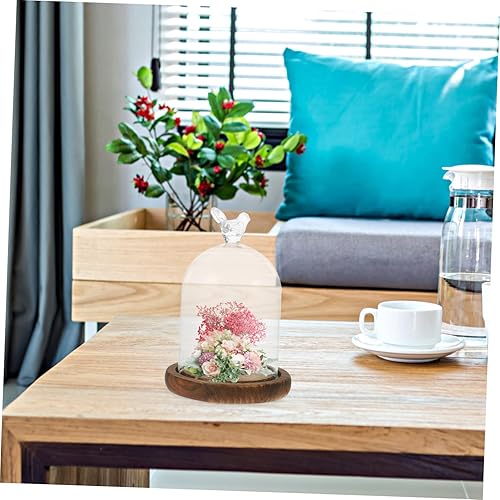 Miniatura 9 de Tarro de campana de cristal Cloche cubierta de pastel de vidrio con base de madera, vitrina decorativa de mesa para plantas, flores, suculentas,