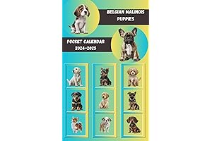 Belgian Malinois Pocket Calendar 2024-2025: Puppies Galore and Daily Joy