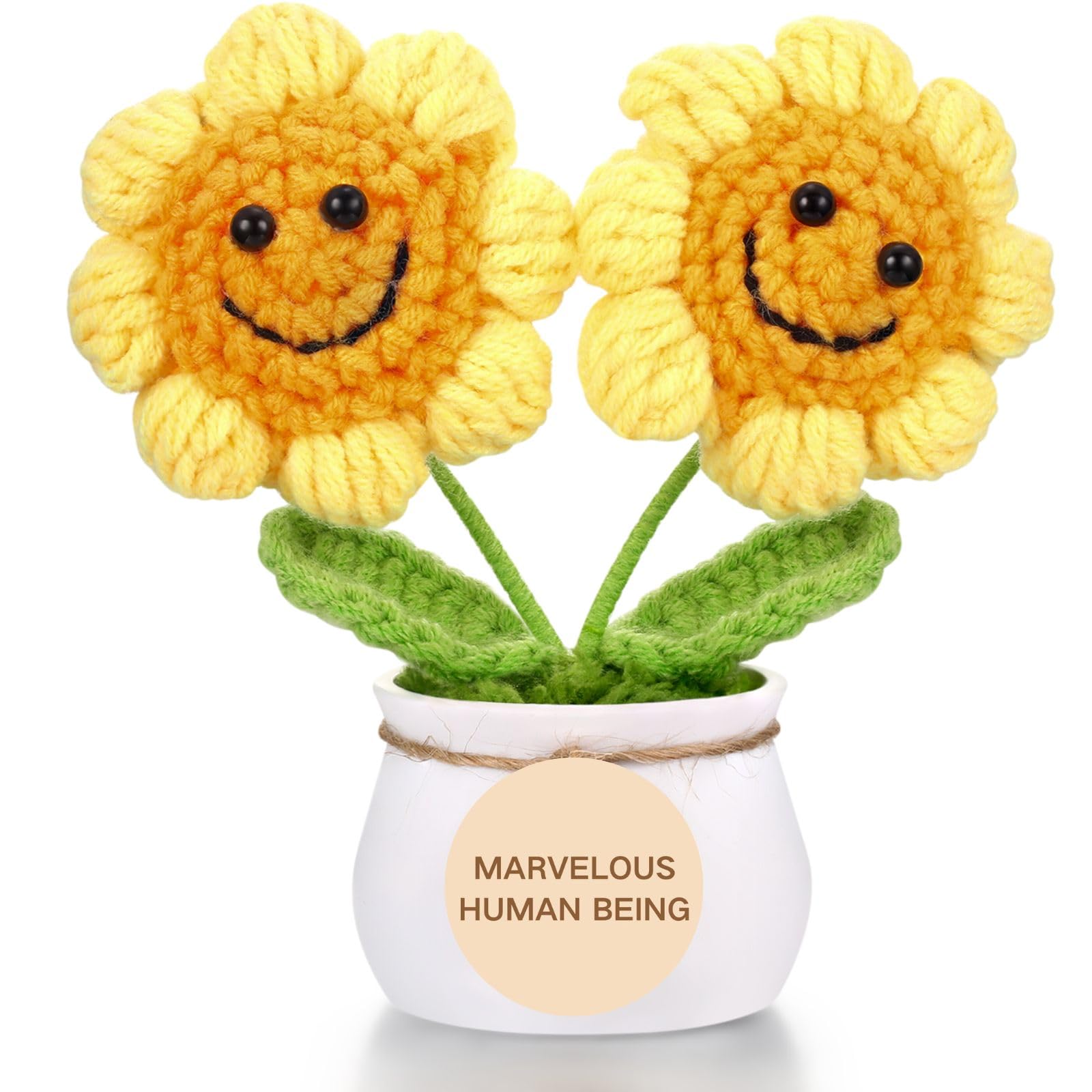 Hanj Emotional Support Positive Crochet Sunflower - Marvelous Human Being - Thank You Appreciation Gifts for Employee Teachers Coworker, Retirement