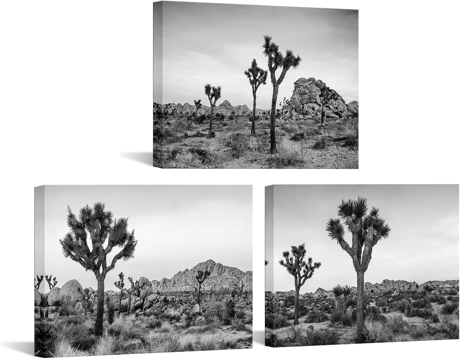 Nachic Wall Joshua Tree Landscape Canvas Print Black and White Southern California Desert Pictures Wall Art Stretched and Framed Artworks Modern Living Room Bedroom Office Home Decor (Small)