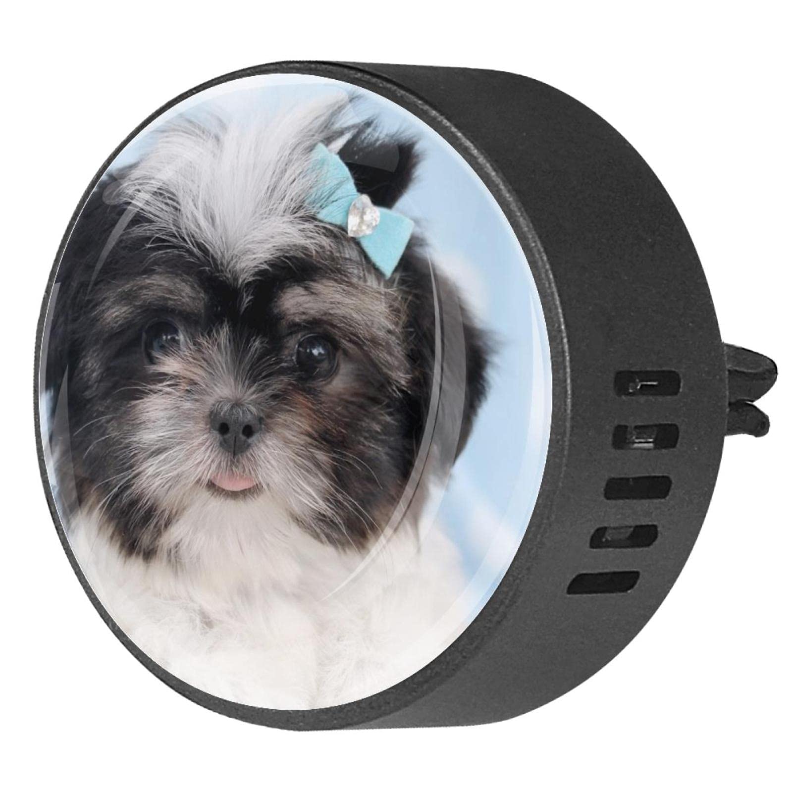 Can Dogs Be Around Essential Oil Diffusers