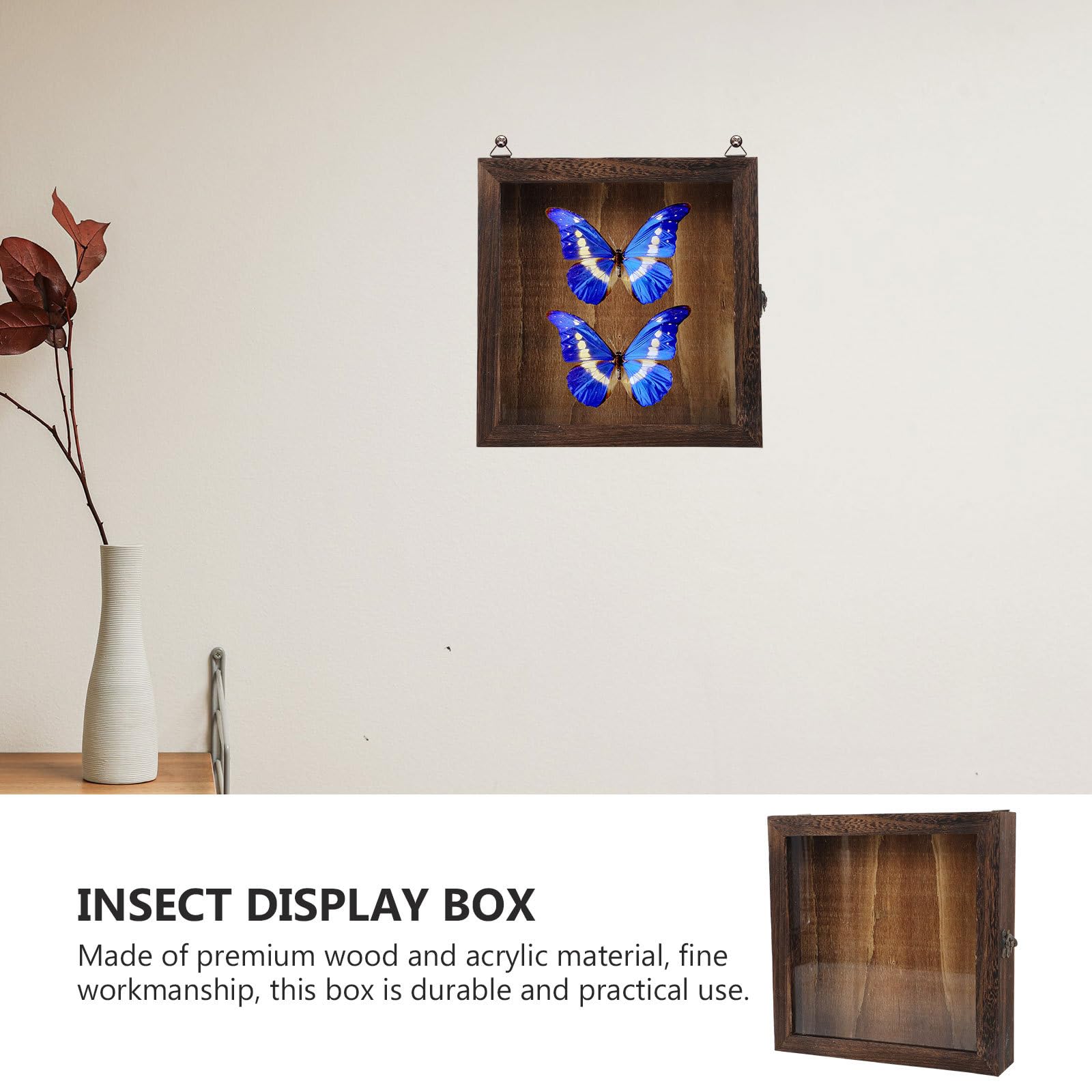 Beaupretty Caja de Exhibición de Insectos Tapa Estilo Retro, Multi-funcional y Compacta, Hecha de Acrílico y Madera Color Café para Decoración y Almacenamiento