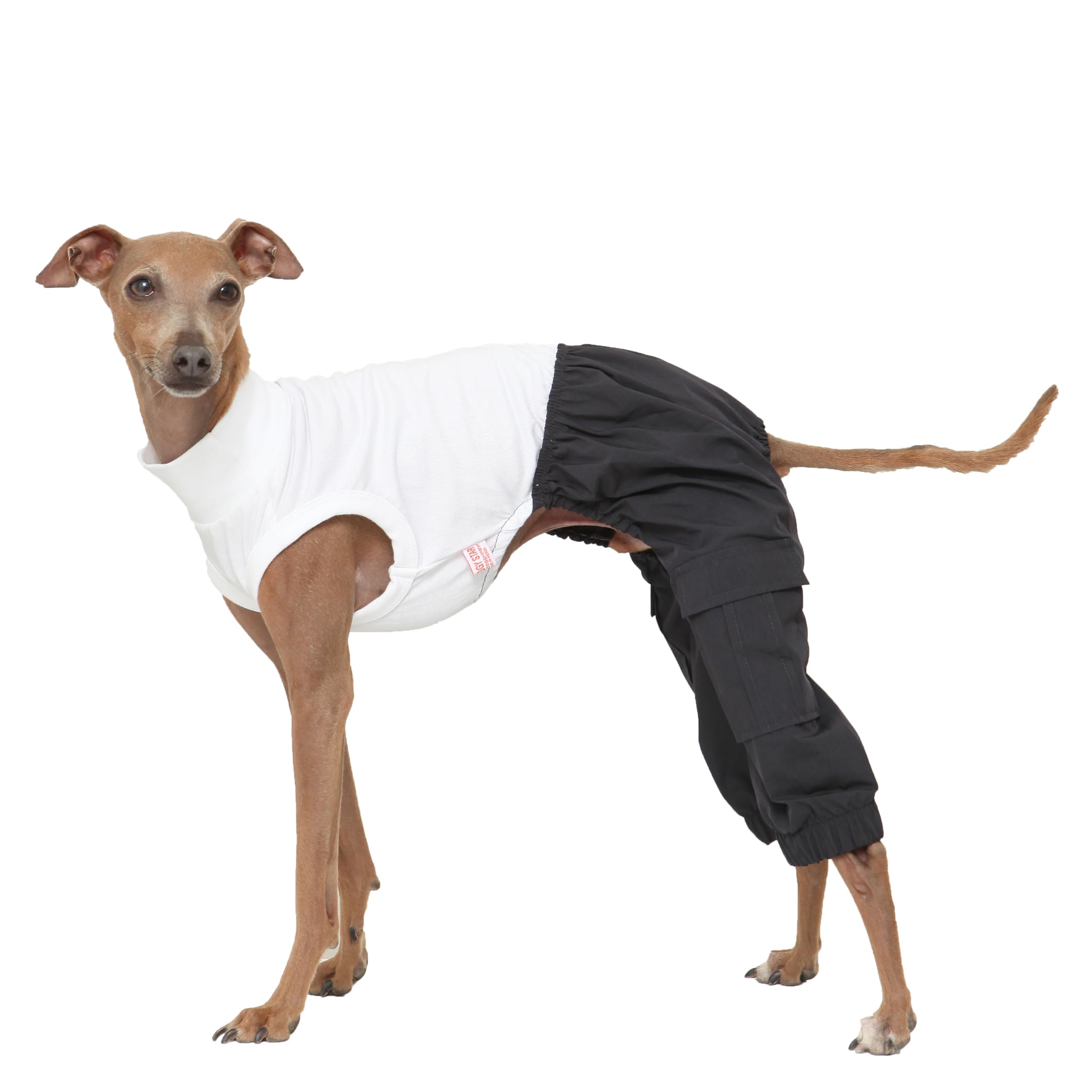 D Doggy Star Italian Greyhound Clothes Cargo Pants Onesie Outfit Whippet for Dog Coat (S,Navy Cargo)
