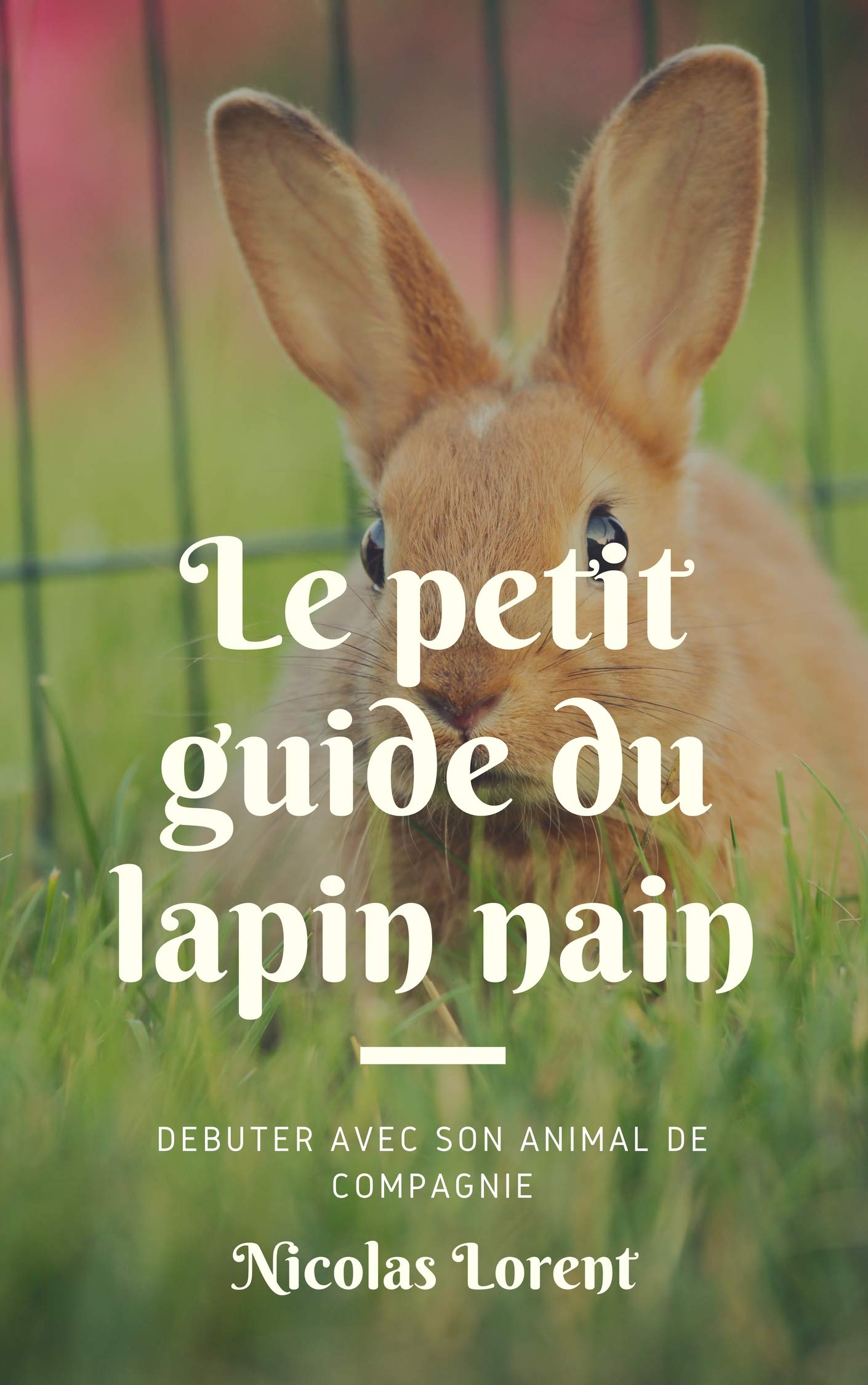 Le petit guide du lapin nain: Tout ce qu'il faut savoir pour débuter avec le lapin nain comme animal de compagnie