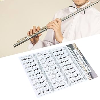 CHOROi C-フルート　ドイツ運指 C-フルート コロイフィンガー(OCTA)[教材][楽器]